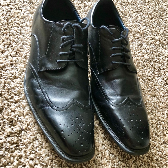 Steve Madden Other - Steve Madden Black Leather Wingtips